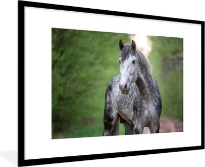 Produktbild von MuchoWow® MuchoWow® Gerahmtes Poster Pferd - Wald - Porträt 90x60 cm - Poster mit zchwarzem Bilderrahmen - Wanddekoration - Fotos