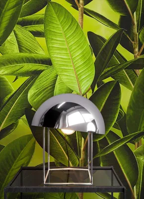 Produktbild von NEWROOM Tapete Grün Vliestapete Blumen -  Floral Braun  Blätter   Modern