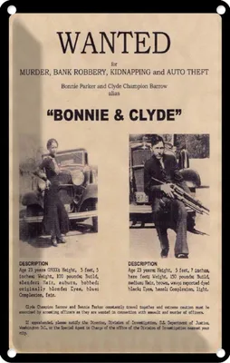 Produktbild von vianmo Blechschild 18x12 cm wanted Bonnie Clyde