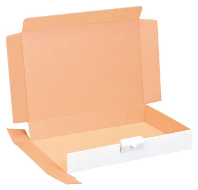 Produktbild von Maxibriefkartons 320 x 225 x 50 mm weiß DIN A4 Maxibrief Versandkarton für DHL DPD GLS Hermes Warensendung Büchersendung mit Steckverschluss 300 Stück