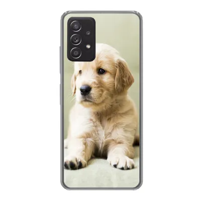 Produktbild von MuchoWow® Handyhülle Schutzhülle Hülle für Samsung Galaxy A33 5G Golden Retriever Welpe auf dem Sofa liegend Silikon Softcase Handy Hülle - Kartenhalter