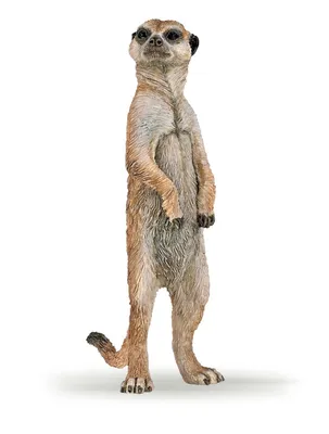 Produktbild von Papo Wild Life Stehendes Erdmännchen 50206