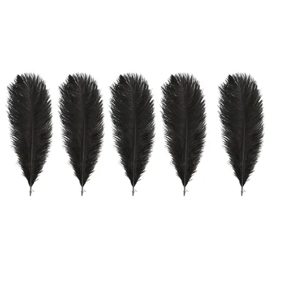 Produktbild von 5 Schwarze dekorative Straußenfedern 30-35 cm