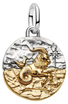 Produktbild von Pandora-Medaille, 925Er Silber 764987C01