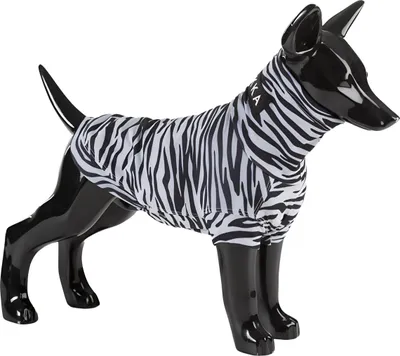 Produktbild von PAIKKA Hundeshirt Sonnenschutz/Antiparasit mit Repeltec "UV & Bug Shirt"