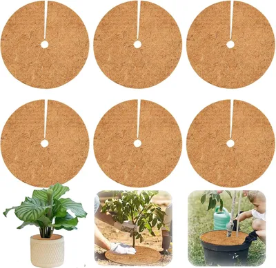 Produktbild von Kokosmulchscheiben 20 cm, 6er Pack, Winterschutz für Pflanzen, für Garten