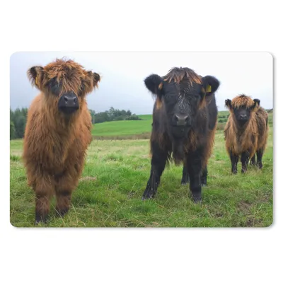 Produktbild von MuchoWow® Mauspad Mousepad Schottische Highlander - Kühe - Natur - Grün - Gras 27x18 cm - Mousepads - Maus Mat - Pad - Mausunterlage - Büroartikel - Desk Matten