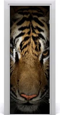 Produktbild von Tulup Türaufkleber 75x205 cm Dekorative Aufkleber Selbstklebend Wasserdichte Tapete Abnehmbar Schlafzimmer Wohnzimmer Wohnkultur - Tiger-Wand