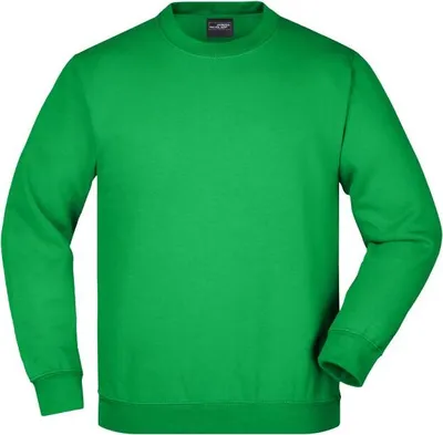 Produktbild von Klassisches Komfort Rundhals-Sweatshirt fern-green, Gr. XXL
