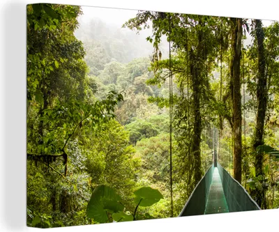 Produktbild von OneMillionCanvasses® - Leinwandbilder - 150x100 cm, Monteverde - Wald - Brücke - Regenwald, Wandbilder Kunstdruck Wanddekoration