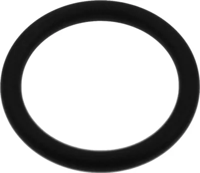 Produktbild von Karcher - Dichtung Epdm 22X3 - 63634680