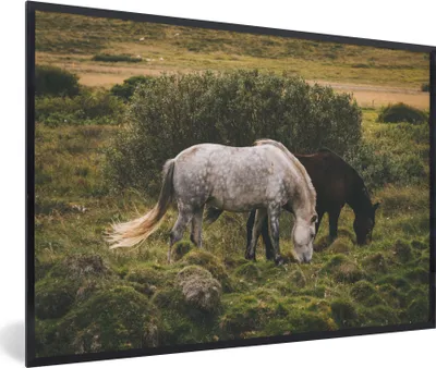 Produktbild von MuchoWow® MuchoWow® Gerahmtes Poster Pferde - Gras - Strauch 60x40 cm - Poster mit zchwarzem Bilderrahmen - Printing - Wanddeko Schlafzimmer