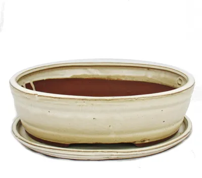 Obrázek produktu pro Bonsajová miska s podšálkem velikost 4 - světle béžová - oválná - model O7 - d 26cm - š 21cm - v 7,5cm