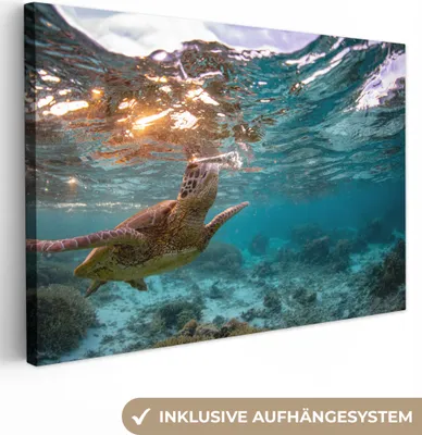 Produktbild von OneMillionCanvasses® - Leinwandbilder - 150x100 cm, Meer - Schildkröte - Farben, Wandbilder Kunstdruck Wanddekoration