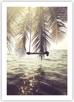 Produktbild von Poster - Poster ohne Rahmen - Meer Palme Wasser - 50x70 cm - Wand Bild - Wanddeko - Wandbilder - Kunstposter - Wandposter - Bilder - Kunstdruck - Wanddekoration - Wandbild - P2XPA50x70-3634