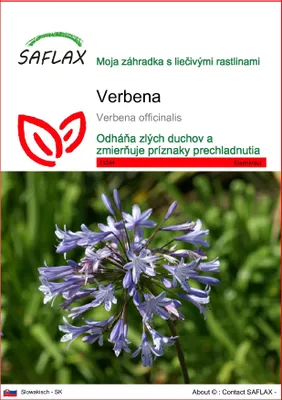 Obrázok produktu pre SAFLAX - Verbena - Verbena officinalis - 250 Semená