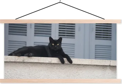 Produktbild von MuchoWow® Textilposter Katze - Schwarz - Fensterläden - Mädchen - Kinder - Jungen - Kind 60x30 cm mit holzfarbenen Rahmen - Dekoration
