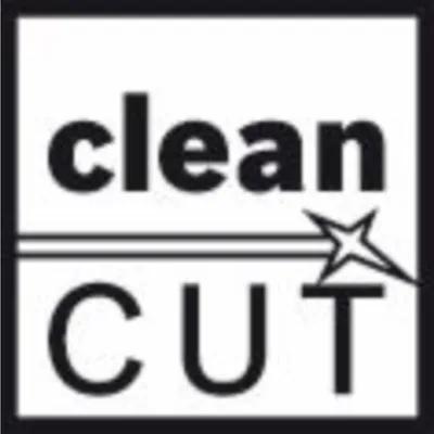 Produktbild von PRO Plastics PC clean T101A Stichsägeblatt, 100 mm, 5-tlg.