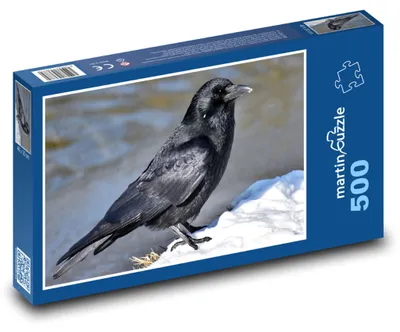 Zdjęcie produktu dla martinpuzzle - Puzzle 500 - Wrona na śniegu