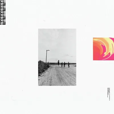 Image de Caracara : Caracara - New Preoccupations (Limited Edition) (Pink Vinyl) - - (LP / N)
