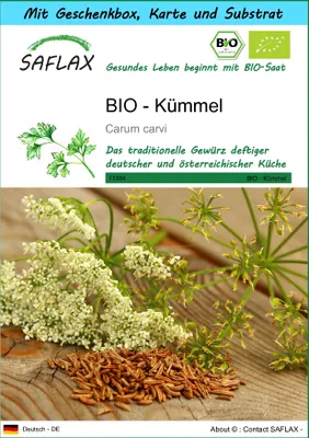 Produktbild von SAFLAX - Geschenk Set - BIO - Kümmel - 800 Samen - Mit Geschenk- / Versandbox, Versandaufkleber, Geschenkkarte und Anzuchtsubstrat - Carum carvi