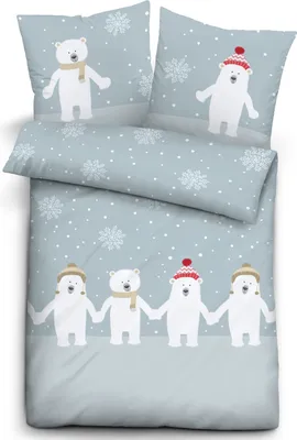 Produktbild von Biberna Kinder-Bettwäsche eisblau 1x 135x200 cm + 1x 80x80 cm