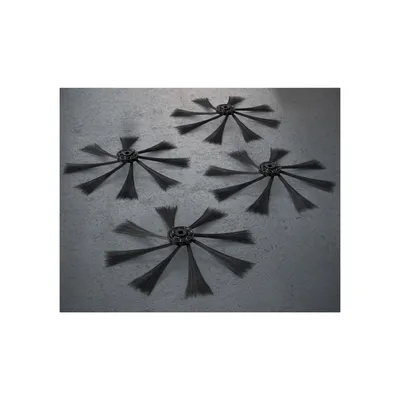 Image de Accessoires AEG ARSB2 Jeu de brosses latérales pour RX9 (lot de 4) ARSB2