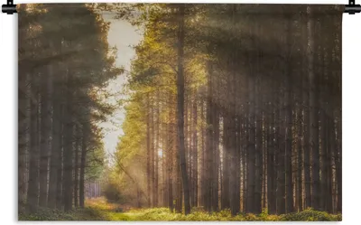 Produktbild von MuchoWow® Wandteppich Wandbehang Baum - Gras - Sonne 150x100 cm Tapisserie Dekoration Wandtuch - Waschbar - Tapisserien - Wand-Decke