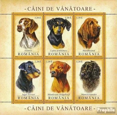 Produktbild von Briefmarken Rumänien 2005 Mi Block361 (kompl.Ausg.) postfrisch Jagdhunde