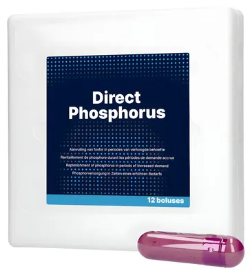 Image de Phosphorbolus direct