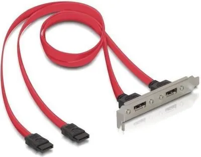 Imagen del producto de Delock 65116 DELOCK Slotblech 2x eSATA