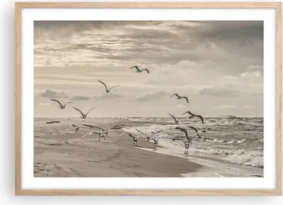 Produktbild von Gerahmtes Poster - Rahmen in heller Eiche - Möwen Küste Boho - 70x50 cm - Wand Bild - Wanddeko - Wandbilder - Kunstposter - Wandposter - Bilderrahmen - Bilder - Kunstdruck - P2NAA70x50-4723