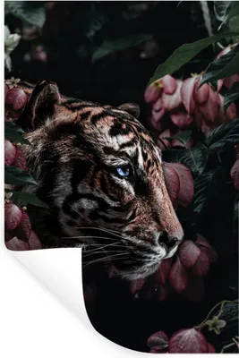 Produktbild von MuchoWow® - Sticker - Dekorfolie