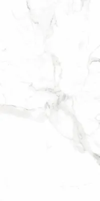 Produktbild von Bodenfliese Feinsteinzeug Alcora 60 x 120 cm weiß/grau