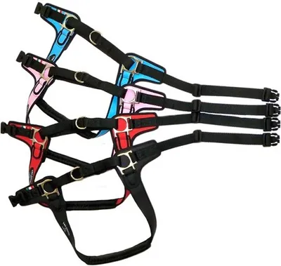 Produktbild von Tre Ponti Geschirr Forza mit schwarzen Rand rosa 65 - 8O crn bis ca. 20 - 30 kg