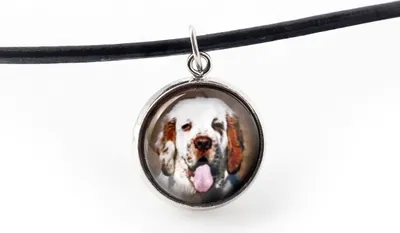 Imagen del producto de Art-Dog Collar con colgante – Clumber Spaniel – con cordón