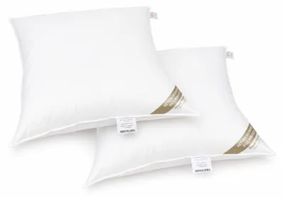 Produktbild von 2 Stück Betten Hofmann Daunenkissen 80x80 cm 850g Kissen Kopfkissen prall dick 100% neue Daunen