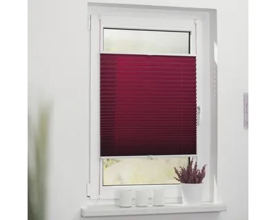 A burgundy pleated blind is installed on a white window frame, covering the lower part of the window. A small potted plant with purple flowers sits on the windowsill below.
