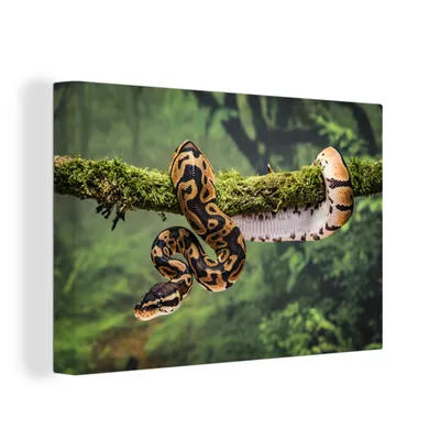 Obrázok produktu pre OneMillionCanvasses® - Maľba na plátne - Obraz na plátne Nástenná maľba na plátne - Had na strome - 150x100cm - Fotografia na plátne - maľba na