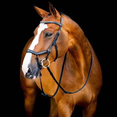 Image de Horseware Ireland Trense Micklem 2 Diamante Competition Bridle Micklemtrense Black X-Full