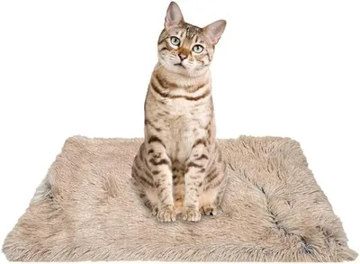 Image de Couverture en polaire douce pour chats et chiens, couleur marron