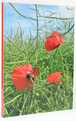 Produktbild von ADINA Notizbuch A4 fester Deckel Lineatur gepunktet Mohnblumen