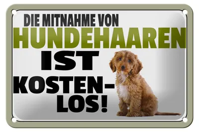 Produktbild von Blechschild Spruch 18x12cm Mitnahme Hundehaaren