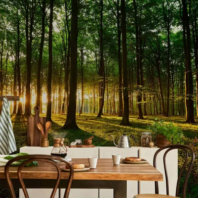 Produktbild von Vlies Fototapete - Mystical Morning 400x280 cm Landschaften c-B-0127-a-b