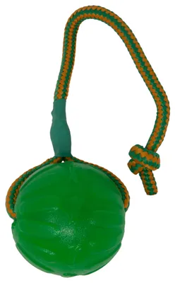 Productafbeelding van Swing & Fling Kauwbal aan een touw, diameter 8,9 cm
