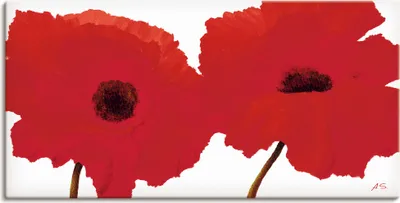Produktbild von ARTland Leinwandbild Roter Mohn II Größe: 40x20 cm