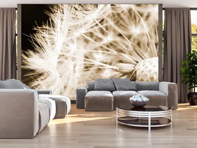 Produktbild von Vlies Fototapete 400x280 cm Tapeten Wandtapete XXL Pustenblume Natur Blumen b-B-0028-a-c