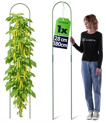 Obrázok produktu pre KADAX oporná tyč 28 x 180 cm, 1 ks, opora pre rastliny z ocele s plastovým povrchom, opora pre paradajky, uhorky a popínavé rastliny, oblúk pre skleník