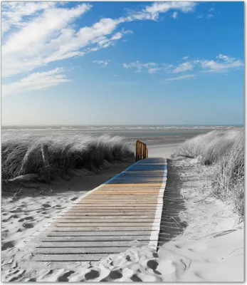 Produktbild von Wallario Herdabdeckplatte aus Glas, Größe 52 x 60 cm 1-teilig, Motiv Auf dem Holzweg zum Strand in schwarz-weiß Optik