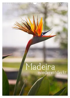 Produktbild von Madeira - wiederentdeckt (Wandkalender 2027 DIN A3 hoch), CALVENDO Monatskalender